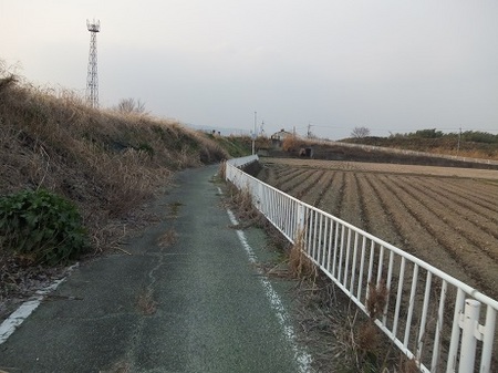 DSCF2457.jpg