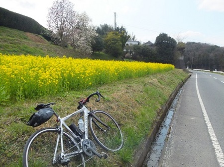 DSCF2728.jpg