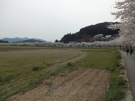 DSCF2915.jpg