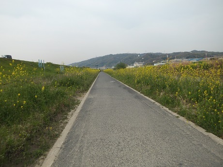 DSCF2920.jpg