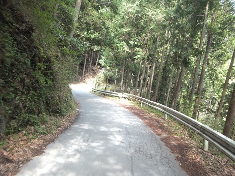 DSCF3028.jpg