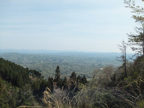 DSCF3166.jpg