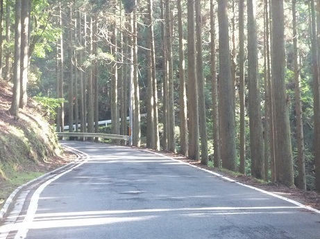 DSCF3338.jpg
