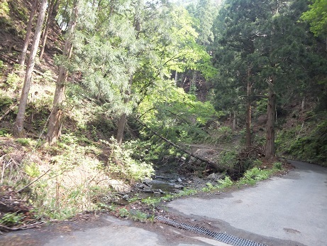 DSCF3384.jpg