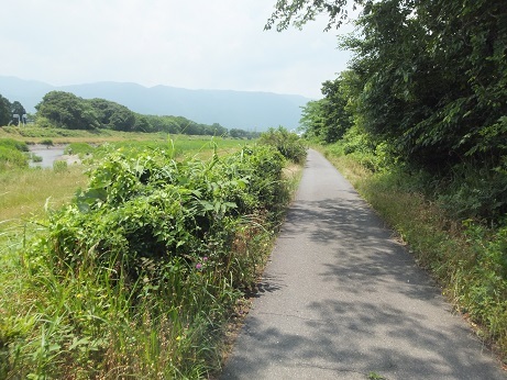 DSCF3541.jpg