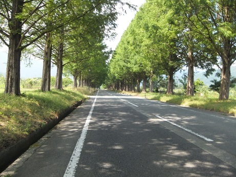 DSCF3554.jpg