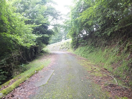 DSCF3644.jpg