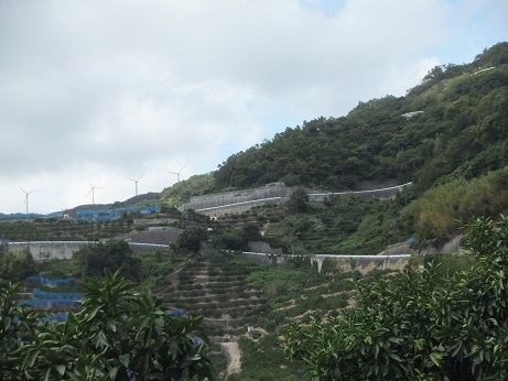DSCF3706.jpg