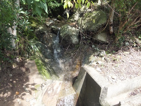 DSCF3714.jpg