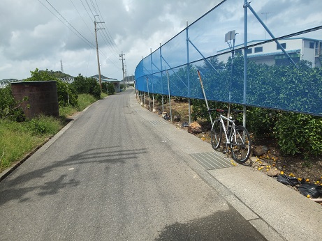 DSCF3791.jpg