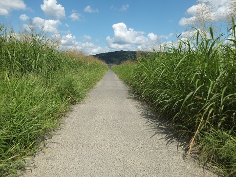 DSCF3804.jpg
