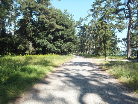DSCF3960.jpg
