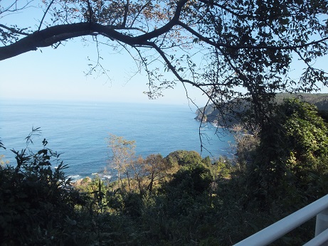DSCF3998.jpg