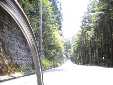 DSCN0464.JPG