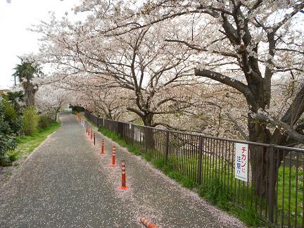DSCN1908.JPG