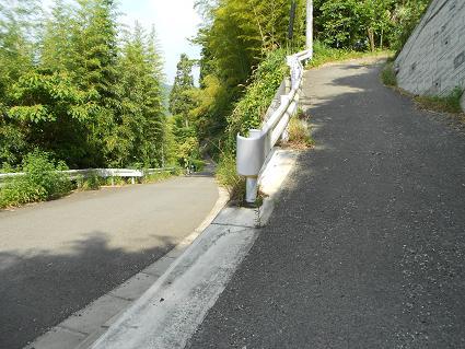 DSCN3836.JPG