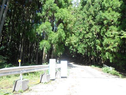 DSCN4376.JPG