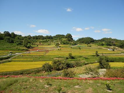 DSCN4393.JPG