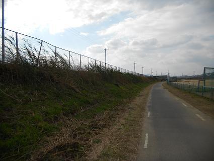 DSCN4702.JPG