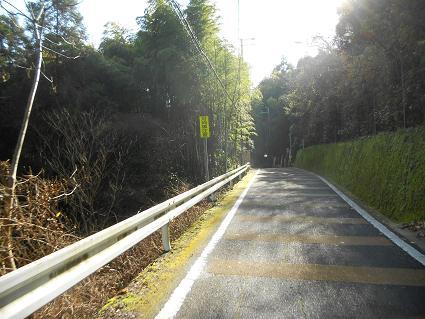 DSCN4721.JPG