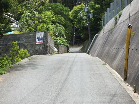 S0033232[1].jpg